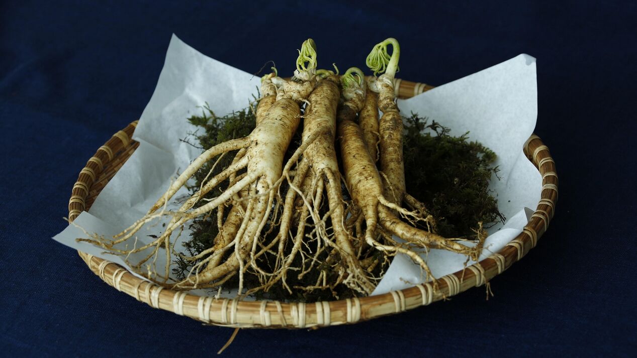 Ginseng roots have the effect of increasing vitality