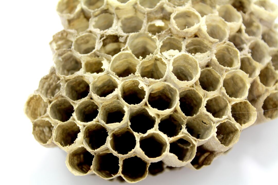 Propolis honey enhances male strength