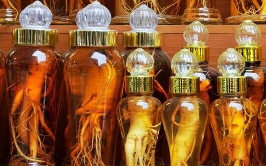 Ginseng of ginseng