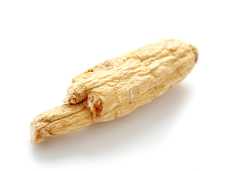 Aralia root gives potency